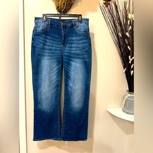 Fashion Jeans in Size XL zip and button front stone wash denim